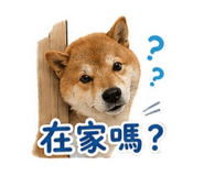 840656334