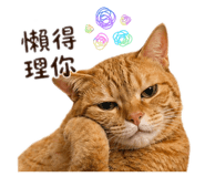 840656453