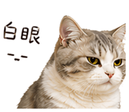840657019