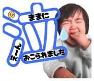 840660040