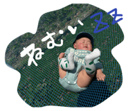 840660492