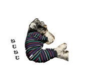 840660971