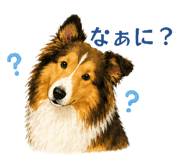 840661106