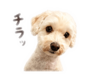 840661494