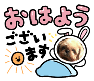 840662073