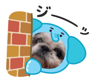 840662076