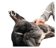 840662247