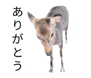 840662249