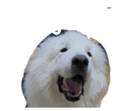 840662252