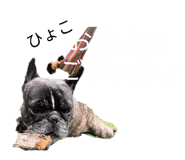 840662253