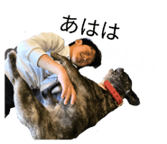 840662255