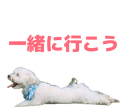 840662572