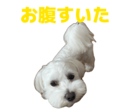 840662574