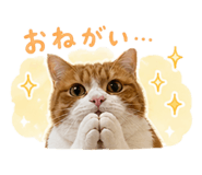 840663505