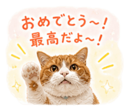840663512