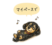 840663666