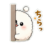 840664816