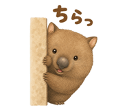 840664872