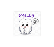 840666590