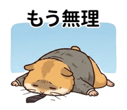 840666980