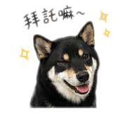 840668252