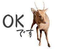 840668723