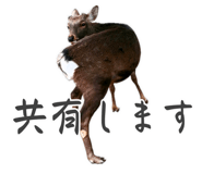 840668730