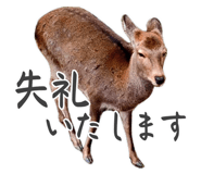 840668744