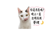 840668753