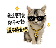 840669036