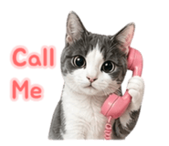 840669619