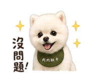 840669725