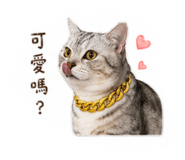 840669752