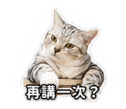 840669765