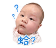 840670356
