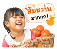 840671550