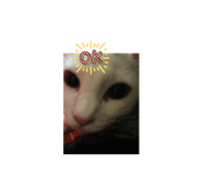 840674621