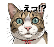 840674736