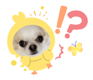 840674868