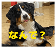 840674990