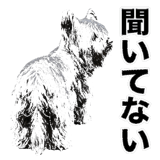 840675430