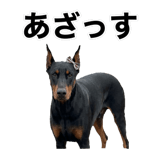 840675574