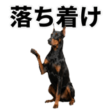 840675585