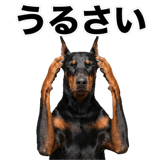 840675593