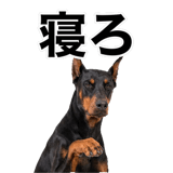 840675596