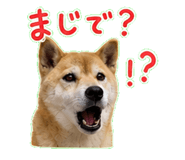 840676089