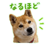 840676090