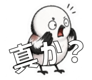 840676657