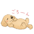 840676813