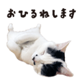 840677258